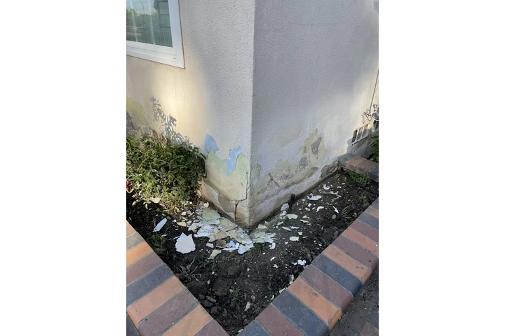 Pintor image 2