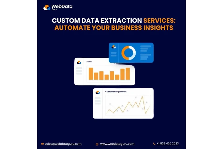Custom Data Extraction Service image 1