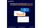 Custom Data Extraction Service en Houston