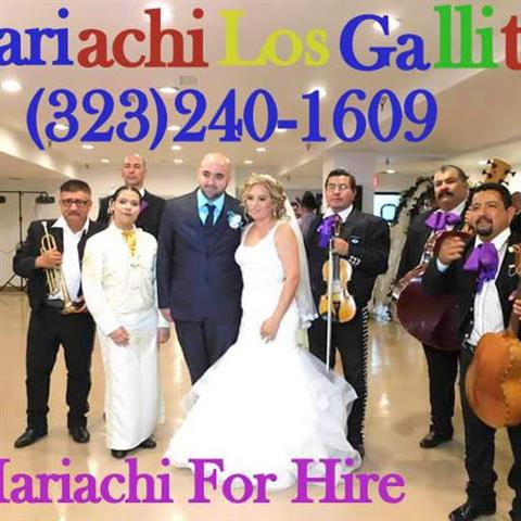 Mariachi For Hire image 2