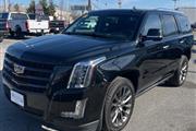 Used 2019 Escalade 4WD 4dr Pr thumbnail