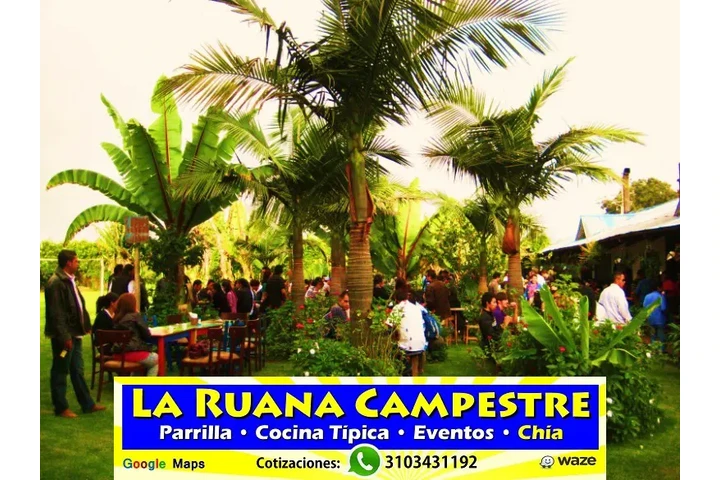 Eventos Despedidas Fin de Año image 9