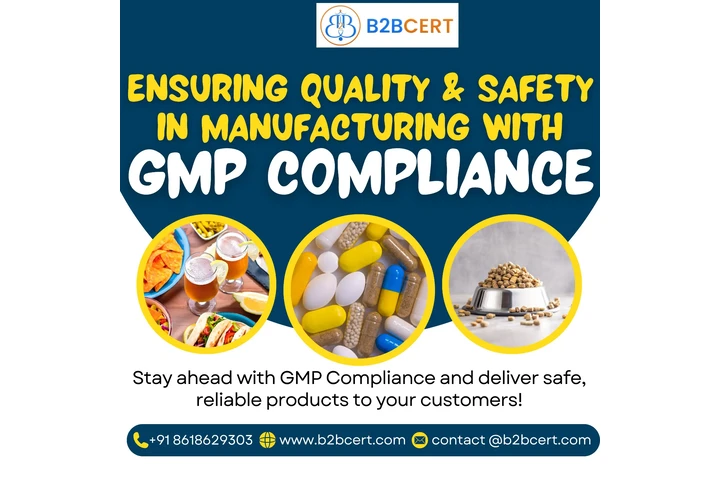 GMP Consultants in Dallas image 1