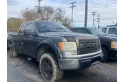 2010 F-150 thumbnail