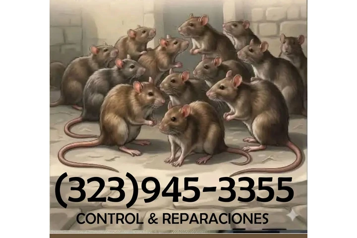 " TERMITE & PEST CONTROL.L.A." image 5