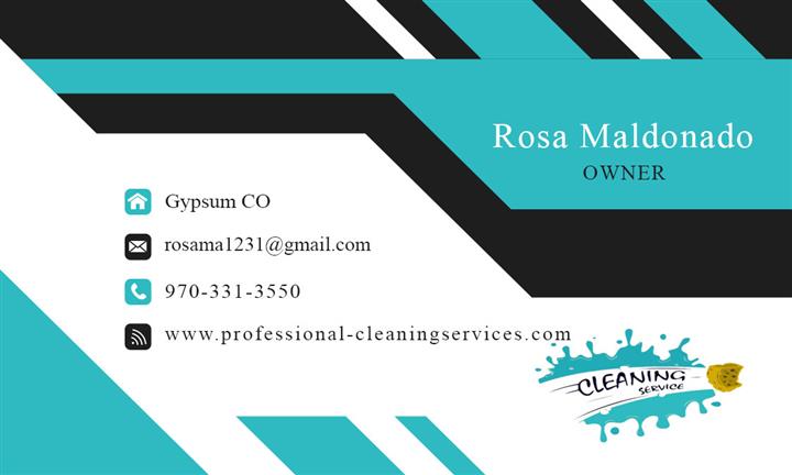 Professional Cleaning Services image 4