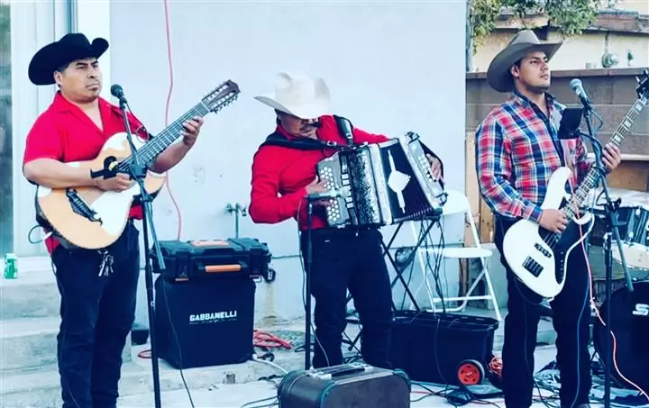 🎶  ACENDADO NORTEÑO 🎶 image 4