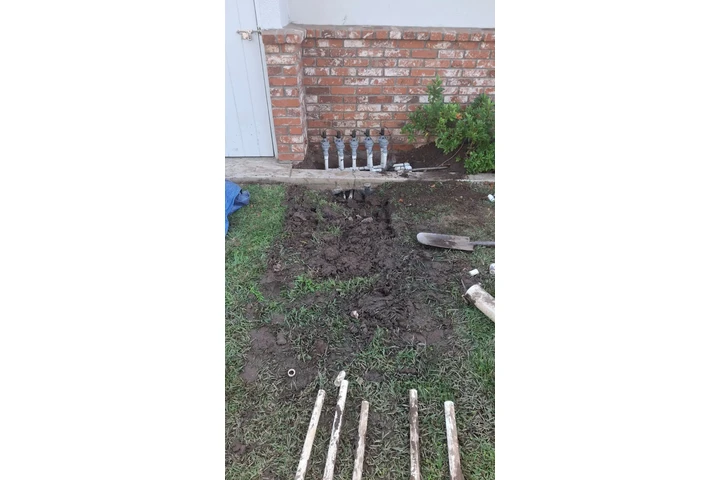 California Gardening image 5