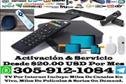 TV En Vivo 24/7 Sin Contrato en Tampa