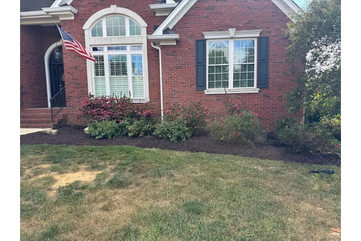 Diaz Lawn Care And Landscaping image 9