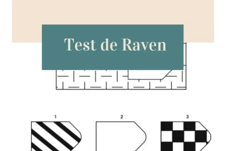 Test psicologicos / evaluacion image 2