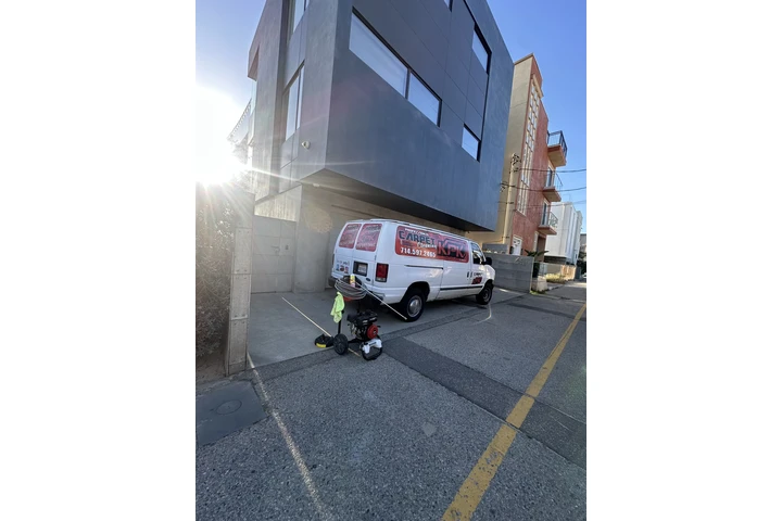 Lipieza de alfombra I sofas image 2