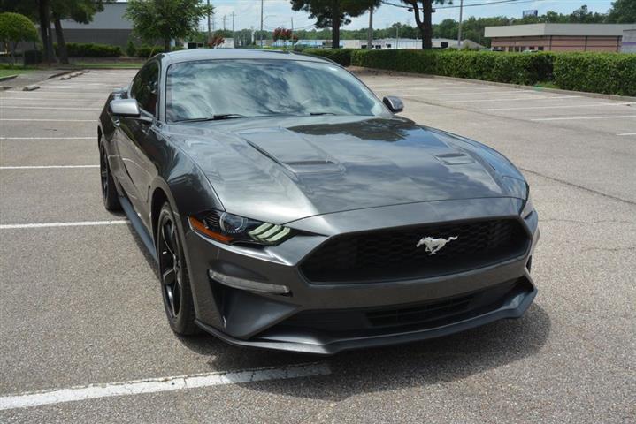 2018 Mustang EcoBoost image 4