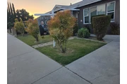 JB landscape thumbnail