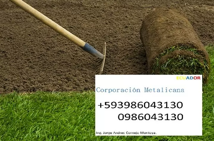 Instalación césped en Ecuador image 2