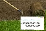 Instalación césped en Ecuador thumbnail