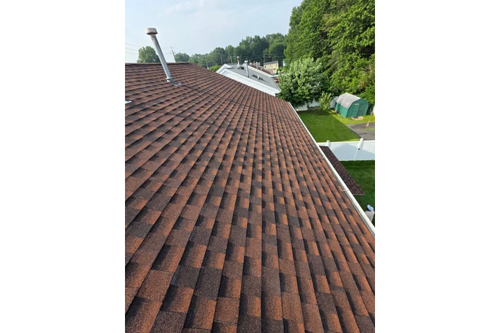 Professional Roofing Services image 2