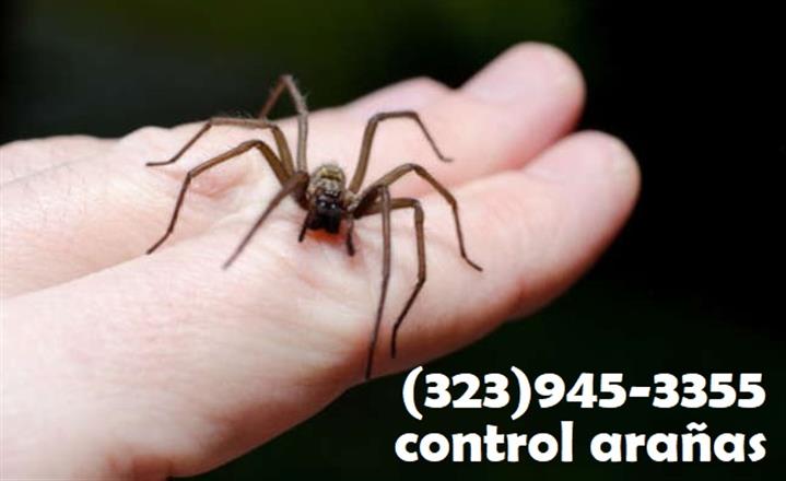 PEST CONTROL (323)945-3355 image 4