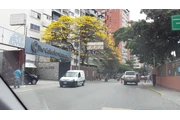 YES LOS RUICES. DIRECTO DUEÑOS en Caracas