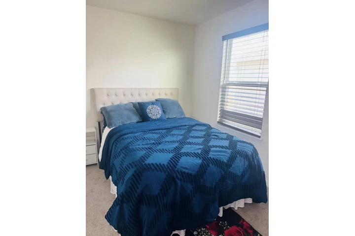 $700 : Kissimmee image 1
