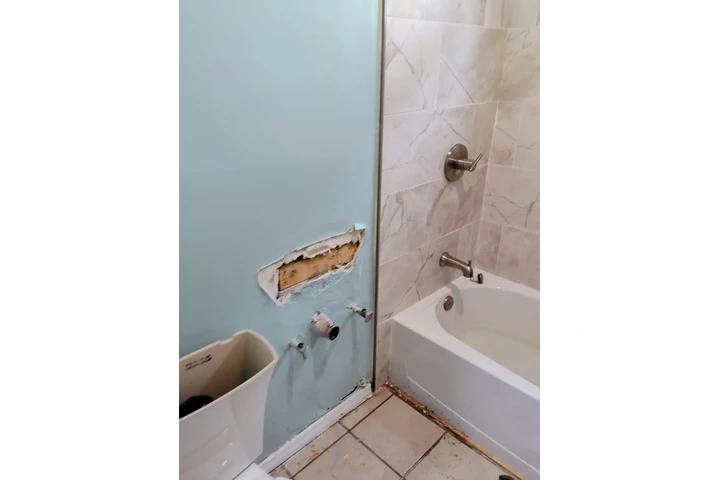 EL PLOMERITO image 1