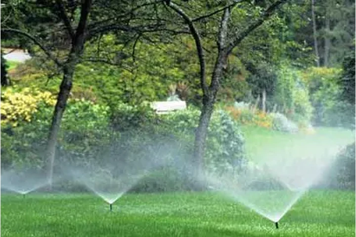 Bacilio Landscaping Services image 1