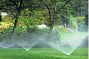 Bacilio Landscaping Services en Riverside