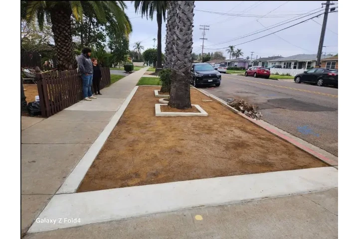 Benitez Landscaping image 3