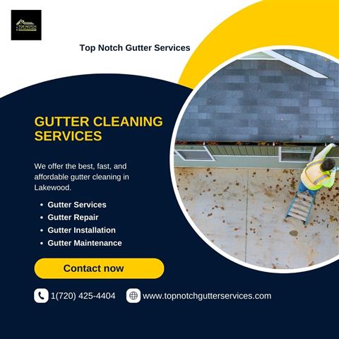 Professionals Gutter Cleaning image 1