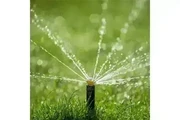 CANALEZ GARDENING SERVICES en San Bernardino