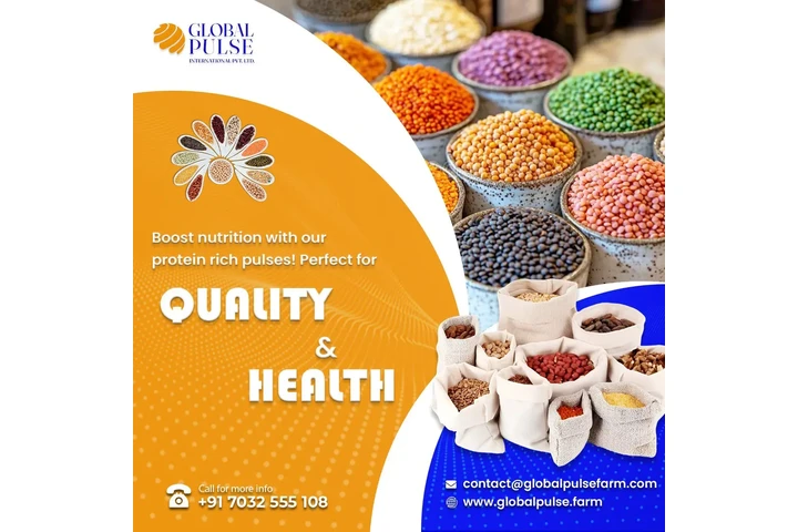 Pulses Export from India – S image 1