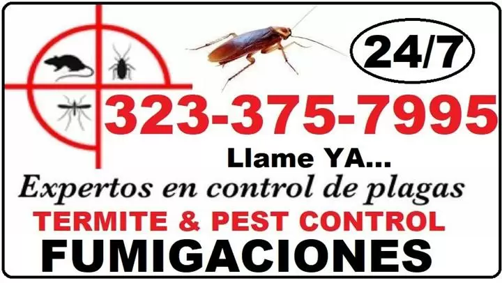 PEST CONTROL - TODO EN PLAGAS image 2