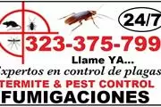 PEST CONTROL - TODO EN PLAGAS thumbnail