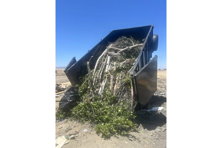 Junk Removal image 5