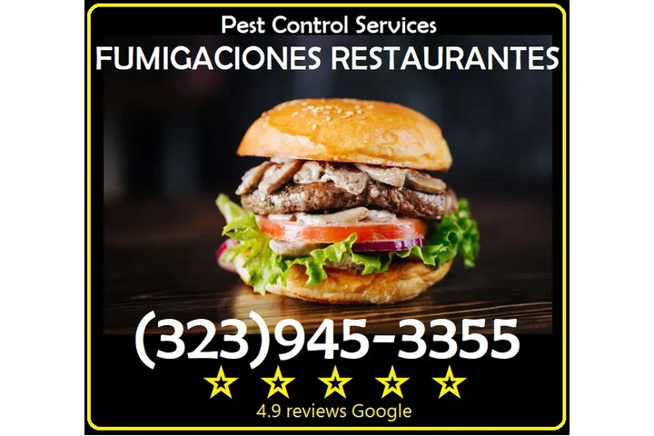 PEST CONTROL NEAR ME 24/7.- image 2