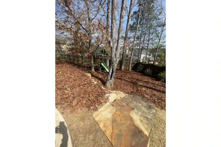 🌴MATÍAS LAWN SERVICES🌴📞CALL image 6