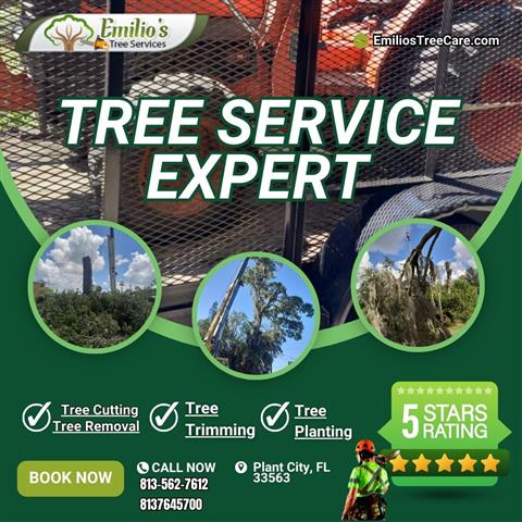 Emilio's Tree Services image 1