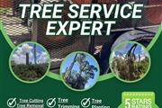 Emilio's Tree Services en Fort Lauderdale