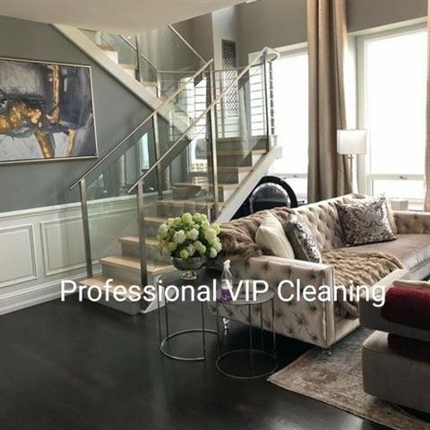 Professional vip cleaning image 4