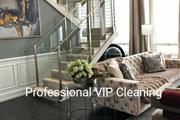Professional vip cleaning thumbnail 4