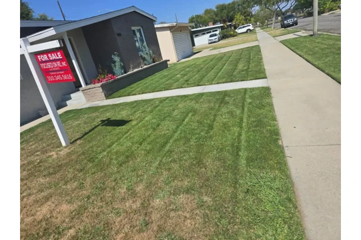 $35 Corte de Pasto $35 image 10