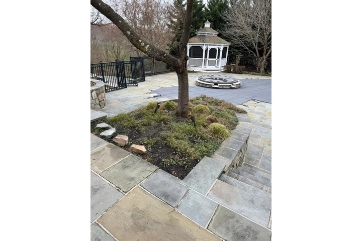 🌳HIDALGO LANDSCAPING SERVICES image 3