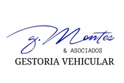 GESTORIA VEHICULAR en Guadalajara