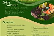 Servicio de Jardineria en Miami