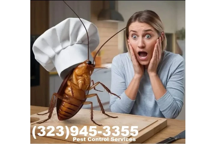 Fumigation - local treatment. image 3