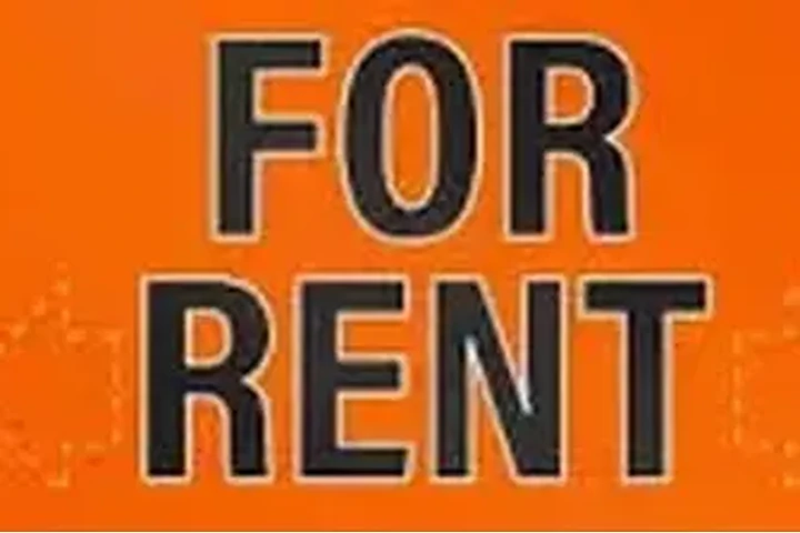 BUSCO MECANICOS QUIERAN RENTAR image 2