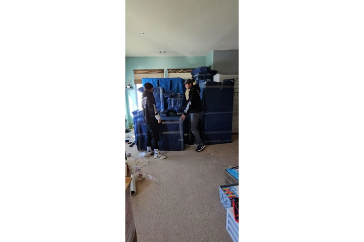 LC moving image 7