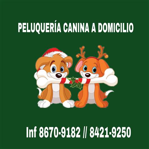 Peluqueria Canina a Domicilio image 2