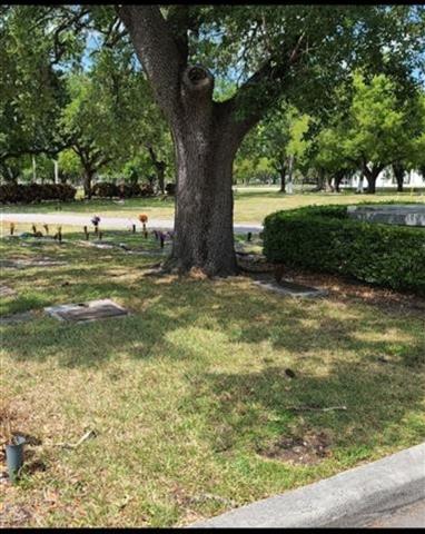 FLAGLER LOTE DE CEMENTERIO image 2