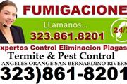 Bed Bugs-Termite-Roaches-Fleas en Los Angeles